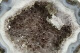 Las Choyas Coconut Geode Half with Smoky Amethyst - Mexico #373027-1